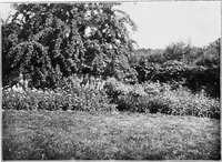 An illustration from The garden that we made (1920)