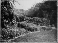 An illustration from The garden that we made (1920)