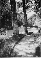 An illustration from The garden that we made (1920)