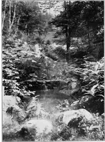An illustration from The garden that we made (1920)