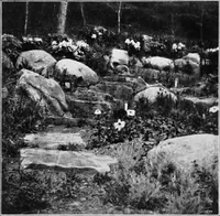 An illustration from The garden that we made (1920)