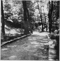 An illustration from The garden that we made (1920)