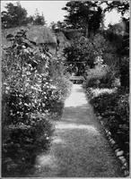An illustration from The garden that we made (1920)