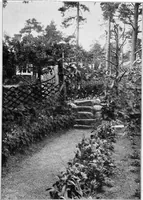 An illustration from The garden that we made (1920)