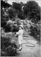 Picture 72 of 77 from The garden that we made (1920), leaf 87