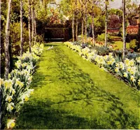 Picture 9 of 19 from Gardens of England (1911), leaf 144