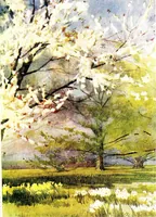 An illustration from Flower grouping in English, Scotch & Irish gardens; notes & 56 sketches in colour (1907)