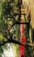 An illustration from Flower grouping in English, Scotch & Irish gardens; notes & 56 sketches in colour (1907)