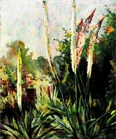 An illustration from Flower grouping in English, Scotch & Irish gardens; notes & 56 sketches in colour (1907)