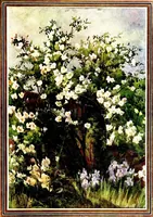An illustration from Flower grouping in English, Scotch & Irish gardens; notes & 56 sketches in colour (1907)