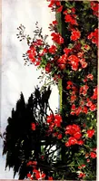 An illustration from Flower grouping in English, Scotch & Irish gardens; notes & 56 sketches in colour (1907)
