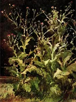 Picture 54 of 55 from Flower grouping in English, Scotch & Irish gardens; notes & 56 sketches in colour (1907), leaf 456