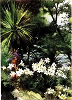 Picture 5 of 55 from Flower grouping in English, Scotch & Irish gardens; notes & 56 sketches in colour (1907), leaf 52