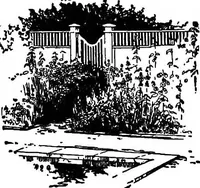 An illustration from The little garden (1921)