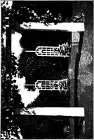 An illustration from The little garden (1921)