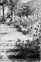 Picture 9 of 9 from My garden (1920), leaf 198