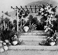 Picture 1 of 9 from My garden (1920), leaf 7