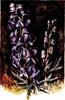 Picture 22 of 51 from That rock-garden of ours (1909), leaf 171