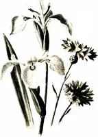 Picture 24 of 51 from That rock-garden of ours (1909), leaf 188