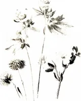 Picture 47 of 51 from That rock-garden of ours (1909), leaf 371