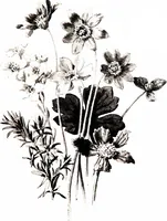 Picture 5 of 51 from That rock-garden of ours (1909), leaf 45