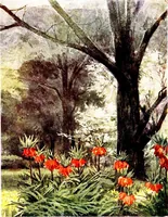 An illustration from My garden in spring (1914)