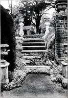 An illustration from My garden in spring (1914)
