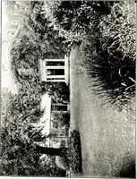An illustration from My garden in spring (1914)