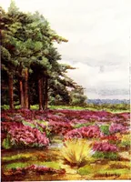 An illustration from The charm of gardens (1910)