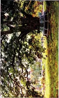 An illustration from The charm of gardens (1910)