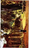 An illustration from The charm of gardens (1910)