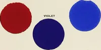 Picture 8 of 14 from The theory and practice of color (1920), leaf 46