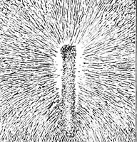 An illustration from Things a boy should know about electricity (1900)