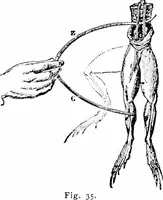 An illustration from Things a boy should know about electricity (1900)