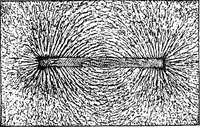 An illustration from Physics of the household (1914)