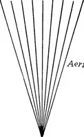 Picture 108 of 131 from Physics of the household (1914), leaf 253