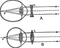 An illustration from Physics of the household (1914)