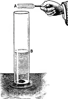 Picture 130 of 131 from Physics of the household (1914), leaf 299