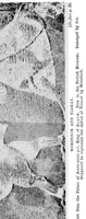 An illustration from The astronomy of the Bible. An elementary commentary on the astronomical references of Holy Scripture (1909)