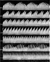 Picture 53 of 108 from A laboratory course in experimental physics (1896), leaf 142