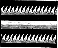 Picture 55 of 108 from A laboratory course in experimental physics (1896), leaf 144