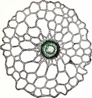 An illustration from Methods in microscopial research; vegetable histology (1905)