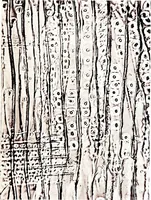 An illustration from Methods in microscopial research; vegetable histology (1905)