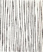 An illustration from Methods in microscopial research; vegetable histology (1905)