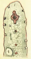 An illustration from Methods in microscopial research; vegetable histology (1905)