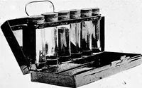 An illustration from Methods in microscopial research; vegetable histology (1905)