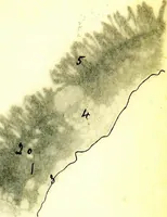 An illustration from Methods in microscopial research; vegetable histology (1905)