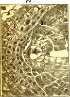 An illustration from Methods in microscopial research; vegetable histology (1905)