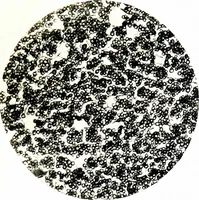 An illustration from Methods in microscopial research; vegetable histology (1905)