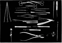 An illustration from Methods in microscopial research; vegetable histology (1905)